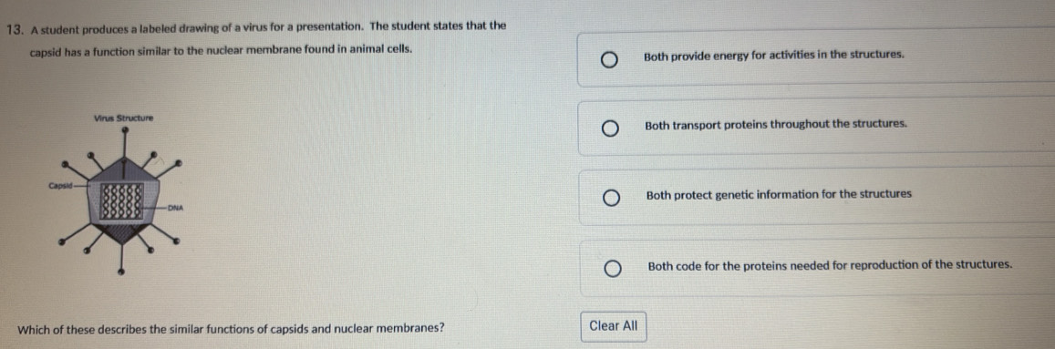 A student produces a labeled drawing of a virus for a presentation. The student states that the
capsid has a function similar to the nuclear membrane found in animal cells.
Both provide energy for activities in the structures.
Both transport proteins throughout the structures.
Both protect genetic information for the structures
Both code for the proteins needed for reproduction of the structures.
Which of these describes the similar functions of capsids and nuclear membranes? Clear All