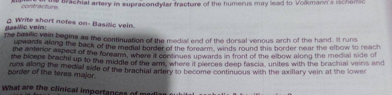 contracture. he brachial artery in supracondylar fracture of the humerus may lead to Volkmann's ischemic 
Q. Write short notes on- Basilic vein. 
Basilic vein: 
The basilic vein begins as the continuation of the medial end of the dorsal venous arch of the hand. It runs 
upwards along the back of the medial border of the forearm, winds round this border near the elbow to reach 
the anterior aspect of the forearm, where it continues upwards in front of the elbow along the medial side of 
the biceps brachii up to the middle of the arm, where it pierces deep fascia, unites with the brachial veins and 
runs along the medial side of the brachial artery to become continuous with the axillary vein at the lower 
border of the teres major. 
What are the clinical importances of me