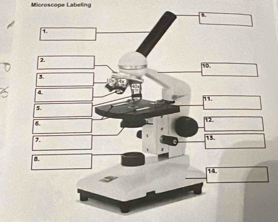 Microscope Labeling