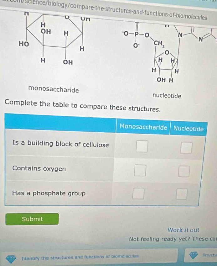 science/biology/compare-th
nucleotide
Complete the table to compare these structures.
Monosaccharide Nucleotide
Is a building block of cellulose
Contains oxygen
Has a phosphate group
Submit
Work it out
Not feeling ready yet? These ca
Identify the structures and functions of biomoleculss Stucty