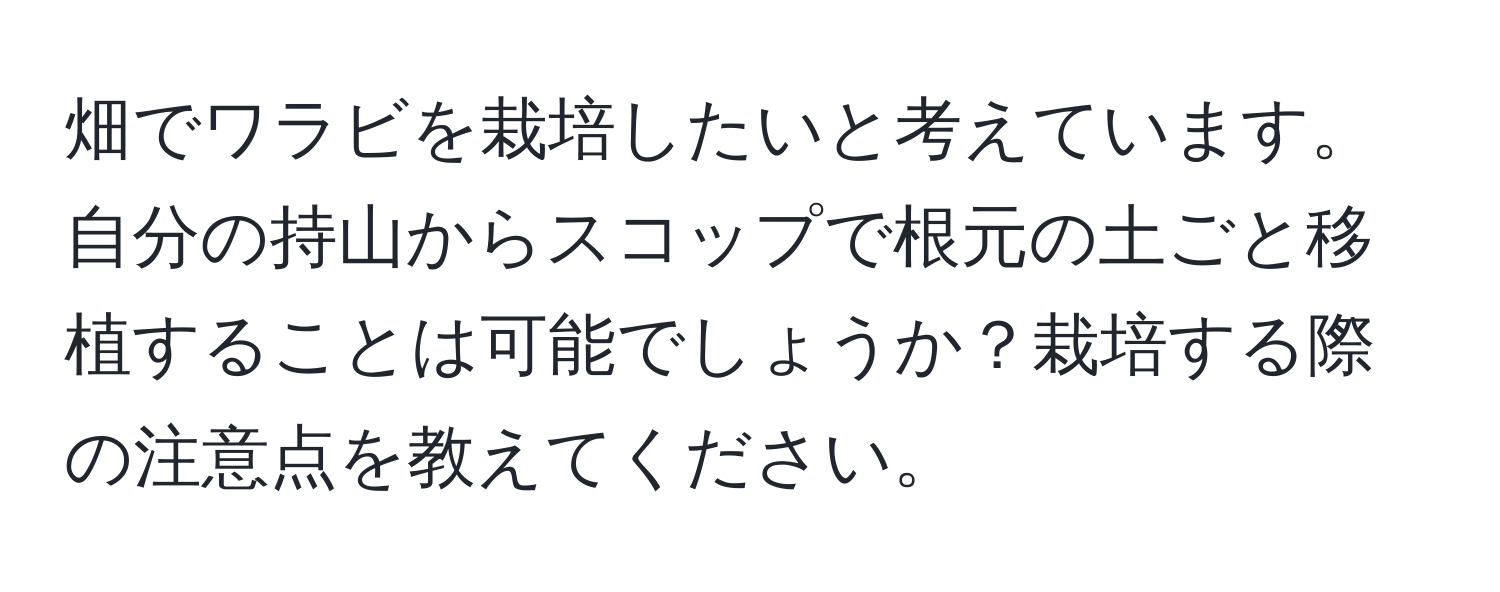 畑でワラビを栽培したいと考えています。自分の持山からスコップで根元の土ごと移植することは可能でしょうか？栽培する際の注意点を教えてください。