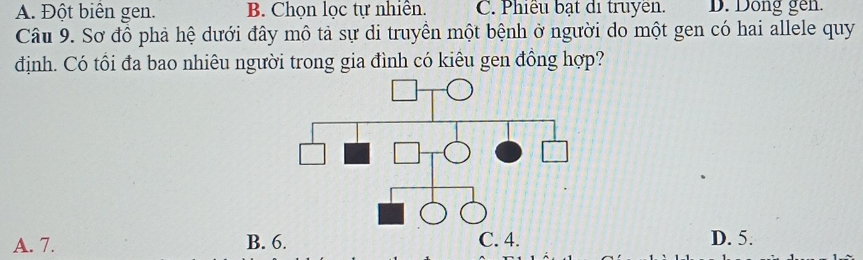 A. Đột biên gen. B. Chọn lọc tự nhiên. C. Phiều bạt di truyen. D. Dong gen.
Câu 9. Sơ đồ phả hệ dưới đây mô tả sự di truyền một bệnh ở người do một gen có hai allele quy
định. Có tối đa bao nhiêu người trong gia đình có kiêu gen đồng hợp?
A. 7. B. D. 5.