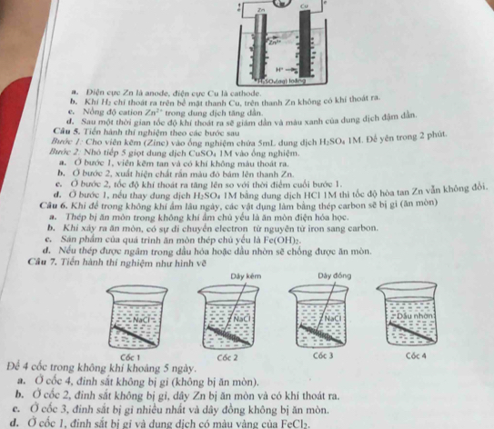 Cu
a. Điện cực Zn là anode, điện cực Cu
b. Khí H₂ chỉ thoát ra trên bề mật thanh Cu, trên thanh Zn không có khí thoát ra
e. Nổng độ cation Zn^2 trong dung địch tăng dần.
d. Sau một thời gian tốc độ khí thoát ra sẽ giám dân và màu xanh của dung dịch đậm dẫn.
Câu 5. Tiền hành thí nghiệm theo các bước sau
Bước /: Cho viên kẽm (Zine) vào ống nghiệm chứa 5mL dung dịch H_2SO M 1M. Để yên trong 2 phút.
Bước 2: Nhó tiếp 5 giọt dung dịch CuSO₄ 1M vào ông nghiệm.
a. Ở bước 1, viên kẽm tan và có khí không màu thoát ra.
b. Ở bước 2, xuất hiện chất rần màu đó bám lên thanh Zn.
e. Ở bước 2, tốc độ khí thoát ra tăng lên so với thời điểm cuối bước 1.
đ. Ở bước 1, nều thay dung dịch H_2SC 4 TM bằng dung dịch HCI IM thì tốc độ hòa tan Zn vẫn không đổi.
Câu 6. Khi để trong không khí ám lâu ngày, các vật dụng làm bằng thép carbon sẽ bị gi (ăn mòn)
a. Thép bị ăn mòn trong không khí ẩm chủ yếu là ăn mòn điện hóa học.
b. Khi xáy ra ăn mòn, có sự di chuyển electron từ nguyên từ iron sang carbon.
e. Sân phẩm của quá trinh ăn mòn thép chủ yếu là Fe(OH)₂.
đ. Nều thép được ngâm trong dầu hóa hoặc dầu nhờn sẽ chống được ăn mòn.
Câu 7. Tiền hành thí nghiệm như hình vẽ
Cốc 4
Để 4 cốc trong không khí khoảng 5 ngày.
a. Ở cốc 4, đinh sắt không bị gi (không bị ăn mòn).
b. Ở cốc 2, đinh sắt không bị gỉ, dây Zn bị ăn mòn và có khí thoát ra.
e. Ở cốc 3, đinh sắt bị gi nhiều nhất và dây đồng không bị ăn mòn.
đ. Ở cốc 1, đinh sắt bị gi và dung dịch có màu vàng của FeCl₂.