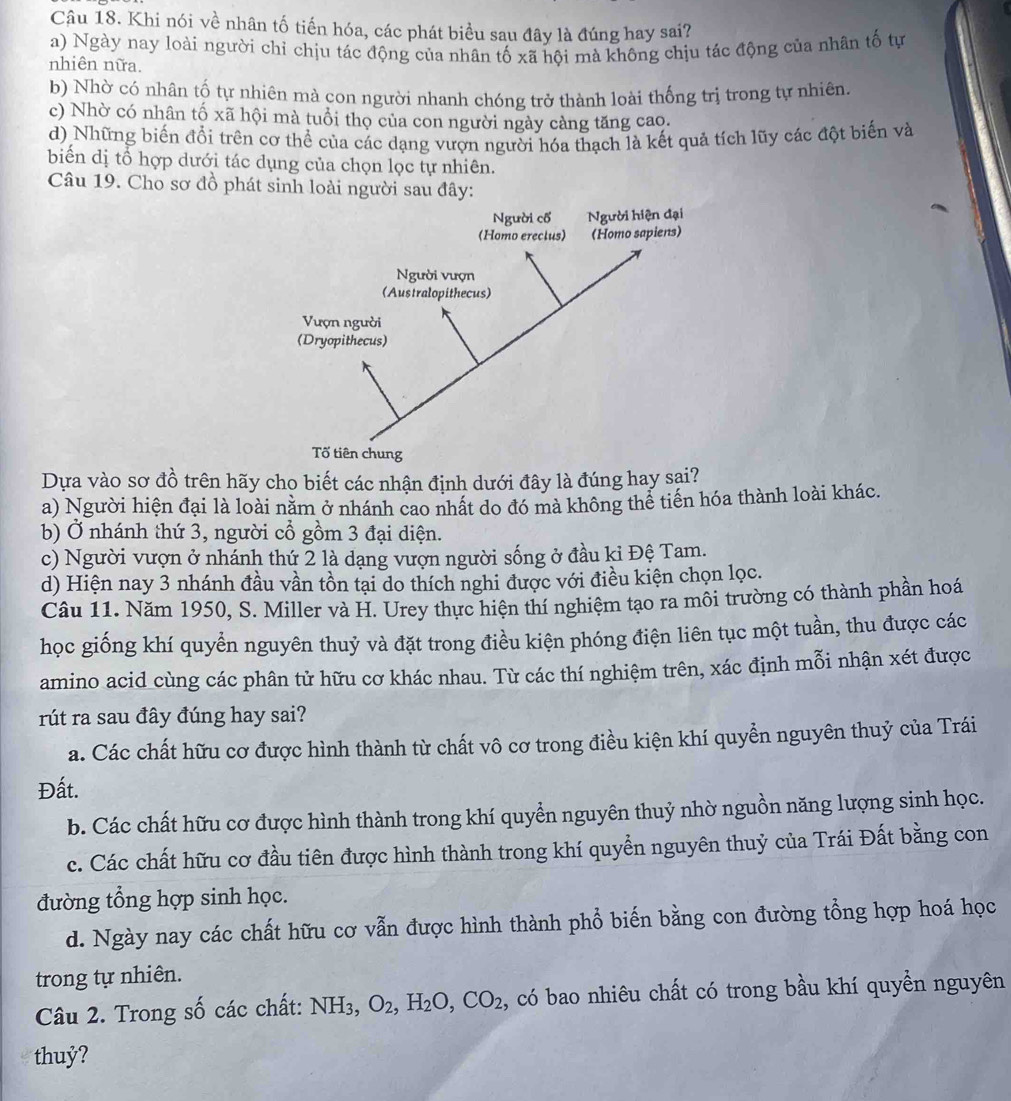 Khi nói về nhân tố tiến hóa, các phát biểu sau đây là đúng hay sai?
a) Ngày nay loài người chỉ chịu tác động của nhân tố xã hôi mà không chịu tác động của nhân tố tự
nhiên nữa.
b) Nhờ có nhân tố tự nhiên mà con người nhanh chóng trở thành loài thống trị trong tự nhiên.
c) Nhờ có nhân tố xã hội mà tuổi thọ của con người ngày càng tăng cao.
d) Những biển đổi trên cơ thể của các dạng vượn người hóa thạch là kết quả tích lũy các đột biến và
biển dị tổ hợp dưới tác dụng của chọn lọc tự nhiên.
Câu 19. Cho sơ đồ phát sinh loài người sau đây:
Dựa vào sơ đồ trên hãy cho biết các nhận định dưới đây là đúng hay sai?
a) Người hiện đại là loài nằm ở nhánh cao nhất do đó mà không thể tiên hóa thành loài khác.
b) Ở nhánh thứ 3, người cổ gồm 3 đại diện.
c) Người vượn ở nhánh thứ 2 là dạng vượn người sống ở đầu ki Đệ Tam.
d) Hiện nay 3 nhánh đầu vần tồn tại do thích nghi được với điều kiện chọn lọc.
Câu 11. Năm 1950, S. Miller và H. Urey thực hiện thí nghiệm tạo ra môi trường có thành phần hoá
học giống khí quyển nguyên thuỷ và đặt trong điều kiện phóng điện liên tục một tuần, thu được các
amino acid cùng các phân tử hữu cơ khác nhau. Từ các thí nghiệm trên, xác định mỗi nhận xét được
rút ra sau đây đúng hay sai?
a. Các chất hữu cơ được hình thành từ chất vô cơ trong điều kiện khí quyển nguyên thuỷ của Trái
Đất.
b. Các chất hữu cơ được hình thành trong khí quyển nguyên thuỷ nhờ nguồn năng lượng sinh học.
c. Các chất hữu cơ đầu tiên được hình thành trong khí quyển nguyên thuỷ của Trái Đất bằng con
đường tổng hợp sinh học.
d. Ngày nay các chất hữu cơ vẫn được hình thành phổ biến bằng con đường tổng hợp hoá học
trong tự nhiên.
Câu 2. Trong số các chất: NH_3,O_2,H_2O,CO_2 , có bao nhiêu chất có trong bầu khí quyền nguyên
thuỷ?