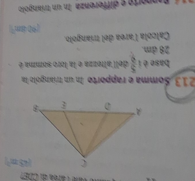 Tune Tátea du CD67
(43m^2)
213 Somma e rapporto In un triangolo la 
base è i  5/6  dell altezza e la loro somma é
28 dm. 
Calcola larea del tríangolo, 
(90 4m²) 
Canporto e differenza In un triangolo