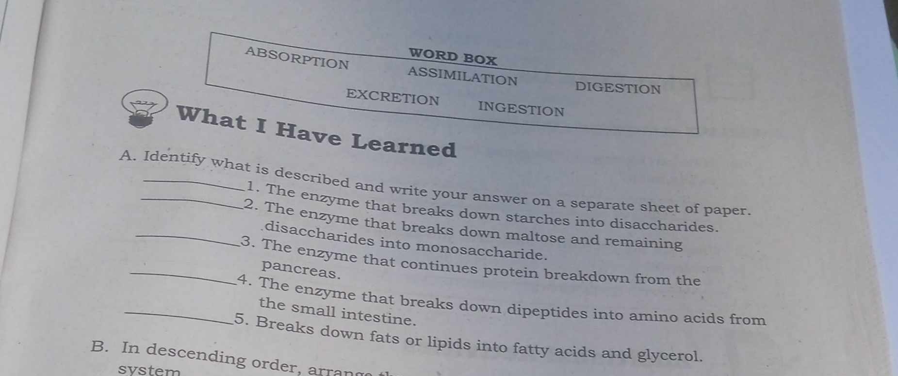 WORD BOX 
ABSORPTION ASSIMILATION 
DIGESTION 
EXCRETION INGESTION 
What I Have Learned 
A. Identify what is described and write your answer on a separate sheet of paper. 
1. The enzyme that breaks down starches into disaccharides. 
_2. The enzyme that breaks down maltose and remaining 
disaccharides into monosaccharide. 
_3. The enzyme that continues protein breakdown from the 
pancreas. 
_4. The enzyme that breaks down dipeptides into amino acids from 
the small intestine. 
5. Breaks down fats or lipids into fatty acids and glycerol. 
B. In descending order, arrang 
svstem