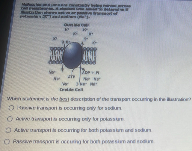 Melecules and lane are constantly being meved across
call mambranes. A student was asked to determine if
illustration shows active or passive transport of
potassium (BC° ) and sodium (Na^+)
Which statement is the best description of the transport occurring in the illustration?
Passive transport is occurring only for sodium.
Active transport is occurring only for potassium.
Active transport is occurring for both potassium and sodium.
Passive transport is occuring for both potassium and sodium.