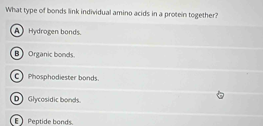 What type of bonds link individual amino acids in a protein together?
AHydrogen bonds.
BOrganic bonds.
C Phosphodiester bonds.
DGlycosidic bonds.
E Peptide bonds.