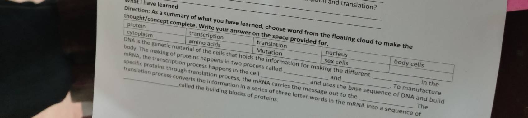 on and translation? 
What I have learned 
Direction: As a summary of what y 
thought/conc 
manufacture 
e message out to the 
base sequence of DNA and build 
series of three letter words in the mRNA into a sequence of 
he building blocks of proteins. 
. The