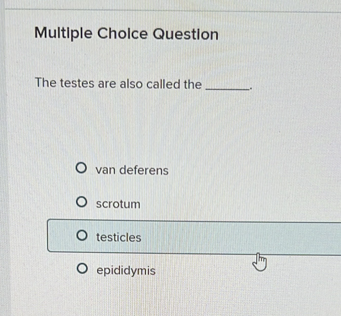 Question
The testes are also called the _.
van deferens
scrotum
testicles
epididymis