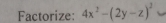 Factorize: 4x^2-(2y-z)^2