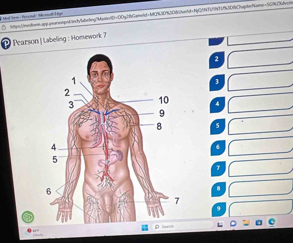 Med Term - Personal - Microsoft Edge
P Pearson | Labeling : Homework 7
2
3
4
5
6
7
8
9
66°F
Cloudy