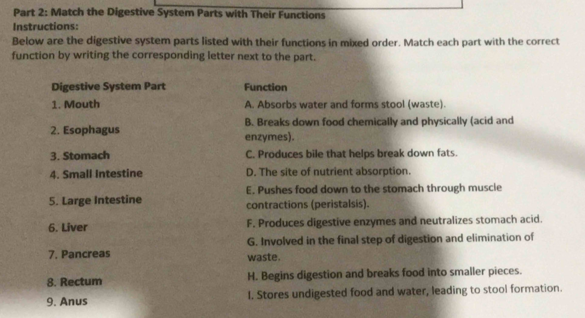 Match the Digestive System Parts with Their Functions
Instructions:
Below are the digestive system parts listed with their functions in mixed order. Match each part with the correct
function by writing the corresponding letter next to the part.
Digestive System Part Function
1. Mouth A. Absorbs water and forms stool (waste).
B. Breaks down food chemically and physically (acid and
2. Esophagus
enzymes).
3. Stomach C. Produces bile that helps break down fats.
4. Small Intestine D. The site of nutrient absorption.
E. Pushes food down to the stomach through muscle
5. Large Intestine
contractions (peristalsis).
6. Liver F. Produces digestive enzymes and neutralizes stomach acid.
G. Involved in the final step of digestion and elimination of
7. Pancreas waste.
8. Rectum H. Begins digestion and breaks food into smaller pieces.
9. Anus 1. Stores undigested food and water, leading to stool formation.