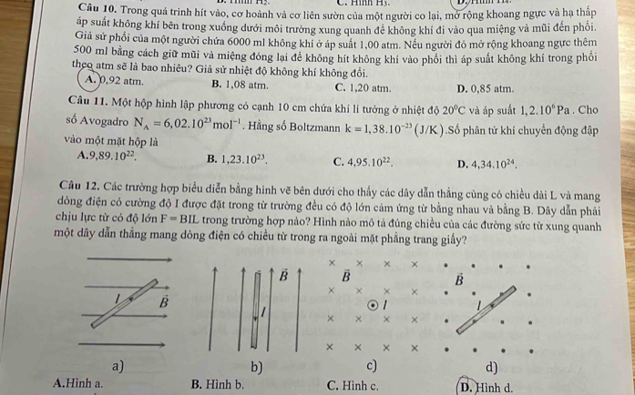 Trong quá trình hít vào, cơ hoành và cơ liên sườn của một người co lại, mở rộng khoang ngực và hạ thấp
áp suất không khí bên trong xuồng dưới môi trường xung quanh để không khí đi vào qua miệng và mũi đến phối.
Giả sử phổi của một người chứa 6000 ml không khí ở áp suất 1,00 atm. Nếu người đó mở rộng khoang ngực thêm
500 m1 bằng cách giữ mũi và miệng đóng lại đề không hít không khí vào phối thì áp suất không khí trong phối
theo atm sẽ là bao nhiêu? Giả sử nhiệt độ không khí không đổi.
A. 0,92 atm. B. 1,08 atm. C. 1,20 atm. D. 0,85 atm.
Cầu 11. Một hộp hình lập phương có cạnh 10 cm chứa khí lí tưởng ở nhiệt độ 20°C và áp suất 1,2.10^6Pa. Cho
số Avogadro N_A=6,02.10^(23)mol^(-1). Hằng số Boltzmann k=1,38.10^(-23) (J/K ).Số phân tử khí chuyển động đập
vào một mặt hộp là
A. 9,89.10^(22). B. 1,23.10^(23). C. 4,95.10^(22). D. 4,34.10^(24).
Câu 12. Các trường hợp biểu diễn bằng hình vẽ bên dưới cho thấy các dây dẫn thẳng cùng có chiều dài L và mang
dòng điện có cường độ I được đặt trong từ trường đều có độ lớn cảm ứng từ bằng nhau và bằng B. Dây dẫn phải
chịu lực từ có độ lớn F=BIL trong trường hợp nảo? Hình nào mô tả đúng chiều của các đường sức từ xung quanh
một dây dẫn thẳng mang dòng điện có chiều từ trong ra ngoài mặt phẳng trang giấy?
× × × ×
B B
B
× × × ×
L hat B
1
× × × ×
× × × ×
a)
b)
c)
d)
A.Hình a. B. Hình b. C. Hình c. D. Hình d.