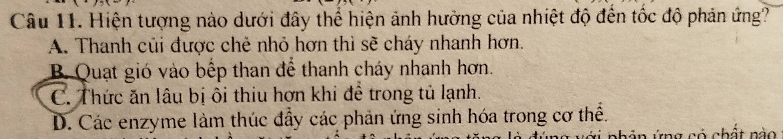 Hiện tượng nào dưới đây thể hiện ảnh hưởng của nhiệt độ đến tốc độ phản ứng?
A. Thanh củi được chẻ nhỏ hơn thi sẽ cháy nhanh hơn.
B. Quạt gió vào bếp than để thanh cháy nhanh hơn.
C. Thức ăn lâu bị ôi thiu hơn khi để trong tủ lạnh.
D. Các enzyme làm thúc đầy các phản ứng sinh hóa trong cơ thể.
nhản ứng có chất nào