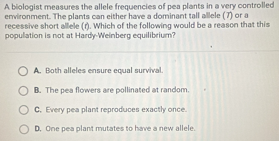 A biologist measures the allele frequencies of pea plants in a very controlled
environment. The plants can either have a dominant tall allele (7) or a
recessive short allele (t). Which of the following would be a reason that this
population is not at Hardy-Weinberg equilibrium?
A. Both alleles ensure equal survival.
B. The pea flowers are pollinated at random.
C. Every pea plant reproduces exactly once.
D. One pea plant mutates to have a new allele.