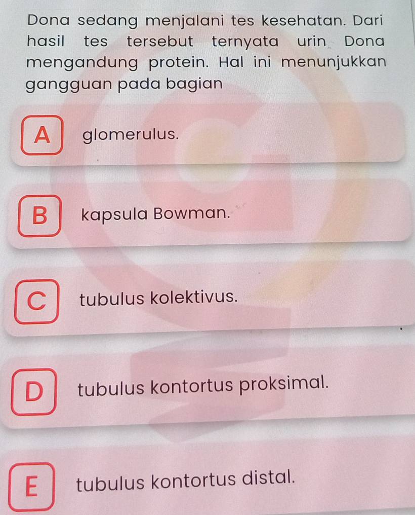 Dona sedang menjalani tes kesehatan. Dari
hasil tes tersebut ternyata urin Dona
mengandung protein. Hal ini menunjukkan
gangguan pada bagian
Aglomerulus.
B kapsula Bowman.
C tubulus kolektivus.
D tubulus kontortus proksimal.
E tubulus kontortus distal.