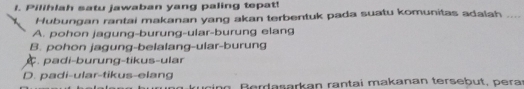 Pilihlah satu jawaban yang paling tepat!
Hubungan rantai makanan yang akan terbentuk pada suatu komunitas adalah ....
A. pohon jagung-burung-ular-burung elang
B. pohon jagung-belalang-ular-burung
padi-burung-tikus-ular
D. padi-ular-tikus-elang
. B erdasarkan rantai makanan tersebut, pera