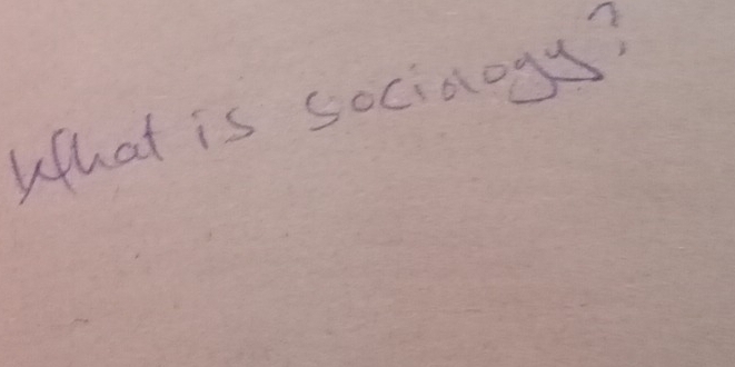 What is sociaogs?