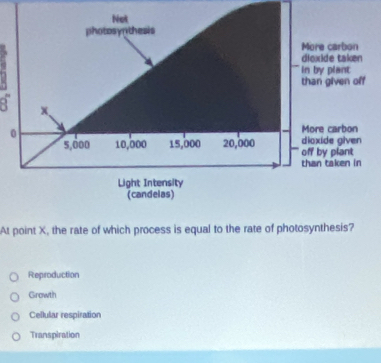 Not
photosypthesis
More carbon
dioxide taken
in by plant
than given off
x
0 More carbon
5,000 10,000 15,000 20,000 off by plant dioxide given
than taken in
Light Intensity
(candelas)
At point X, the rate of which process is equal to the rate of photosynthesis?
Reproduction
Growth
Cellular respiration
Transpiration