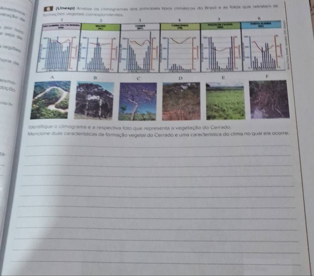 (Unesp) Analise os climogramas dos principais tipos climáticos do Brasil e as fotos que retratam as 
Amatônica 
cemações vegetais correspondentes. 
ação de 
2 

por ísso 
é seja de 
regiões 
horia da 
A 
B 
D 
F 
esmo 
C 
E 
pação 
h be 
identifique o ciimograma e a respectiva foto que representa a vegetação do Cerrado. 
Mencione duas características da formação vegetal do Cerrado e uma característica do clima no qual ela ocorre. 
_ 
a 
_ 
_ 
_ 
_ 
_ 
_ 
_ 
_ 
_ 
_ 
_ 
_ 
_