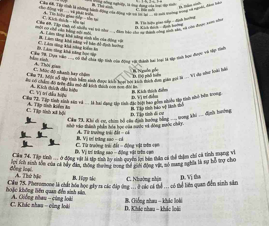 C. 1-b, 2-c, 3-a
lcu trong nông nghiệp, là ứng dụng của loại tập tính:
D. Bẩm sinh.
Câu 68. Tập tính là những hành động của động vật trả lời lại .. từ môi trường trong và ngoài, đảm bảo
B. Thứ sinh.
C. Bất mỗi
cho động vật .. và phát triển.
A. Tín hiệu giao tiếp - tồn tại
C. Kích thích - tồn tại
B. Tín hiệu giao tiếp - định hướng
Câu 69. Tập tính có nhiều vai trò như ..., đám báo cho sự thành công sinh sản, và còn được xem như
D. Kích thích - định hướng
một cơ chế cân bằng nội môi.
A. Làm tăng khả năng sinh tồn của động vật
B. Làm tăng khả năng về bản đồ định hướng
C. Lảm tăng khả năng kiếm ăn
D. Làm tăng khả năng học tập
Cầu 70. Dựa vào ..., có thể chia tập tính của động vật thành hai loại là tập tính học được và tập tính
bầm sinh.
A. Thời gian
B. Nguồn gốc
C. Mức độ nhanh hay chậm
Câu 71. Một số tập tính bầm sinh được kích hoạt bởi kích thích đơn giản gọi là .. Ví dụ như loài hải
D. Độ phổ biến
âu có chấm đỏ trên đầu mỏ đề kích thích con non đòi ăn.
A. Kích thích dấu hiệu
B. Kích thích điểm
C. Vị trí dấu hiệu
D. Vị trí điểm
Câu 72. Tập tính sinh sản và ... là hai dạng tập tính đặc biệt bao gồm nhiều tập tính nhỏ bên trong.
A. Tập tính kiếm ăn
B. Tập tính bảo vệ lãnh thổ
C. Tập tính xã hội
D. Tập tính di cư
Câu 73. Khi dí cư, chim bồ câu định hướng bằng …, trong khi … định hướng
nhờ vào thành phần hóa học của nước và dòng nước chảy.
A. Từ trường trái đất - cá
B. Vị trí trăng sao - cá
C. Từ trường trái đất - động vật trên cạn
D. Vị trí trăng sao - động vật trên cạn
Câu 74. Tập tính ... ở động vật là tập tính hy sinh quyền lợi bản thân cá thể thậm chí cả tính mạng vì
lợi ích sinh tồn của cả bầy đàn, thông thường trong thế giới động vật, nó mang nghĩa là sự hỗ trợ cho
đồng loại.
A. Thứ bậc B. Hợp tác C. Nhường nhịn D. Vj tha
Câu 75. Pheromone là chất hóa học gây ra các đáp ứng . ở các cá thể .. có thể liên quan đến sinh sản
hoặc không liên quan đến sinh sản.
A. Giống nhau - cùng loài  B. Giống nhau - khác loài
C. Khác nhau - cùng loài D. Khác nhau - khác loài