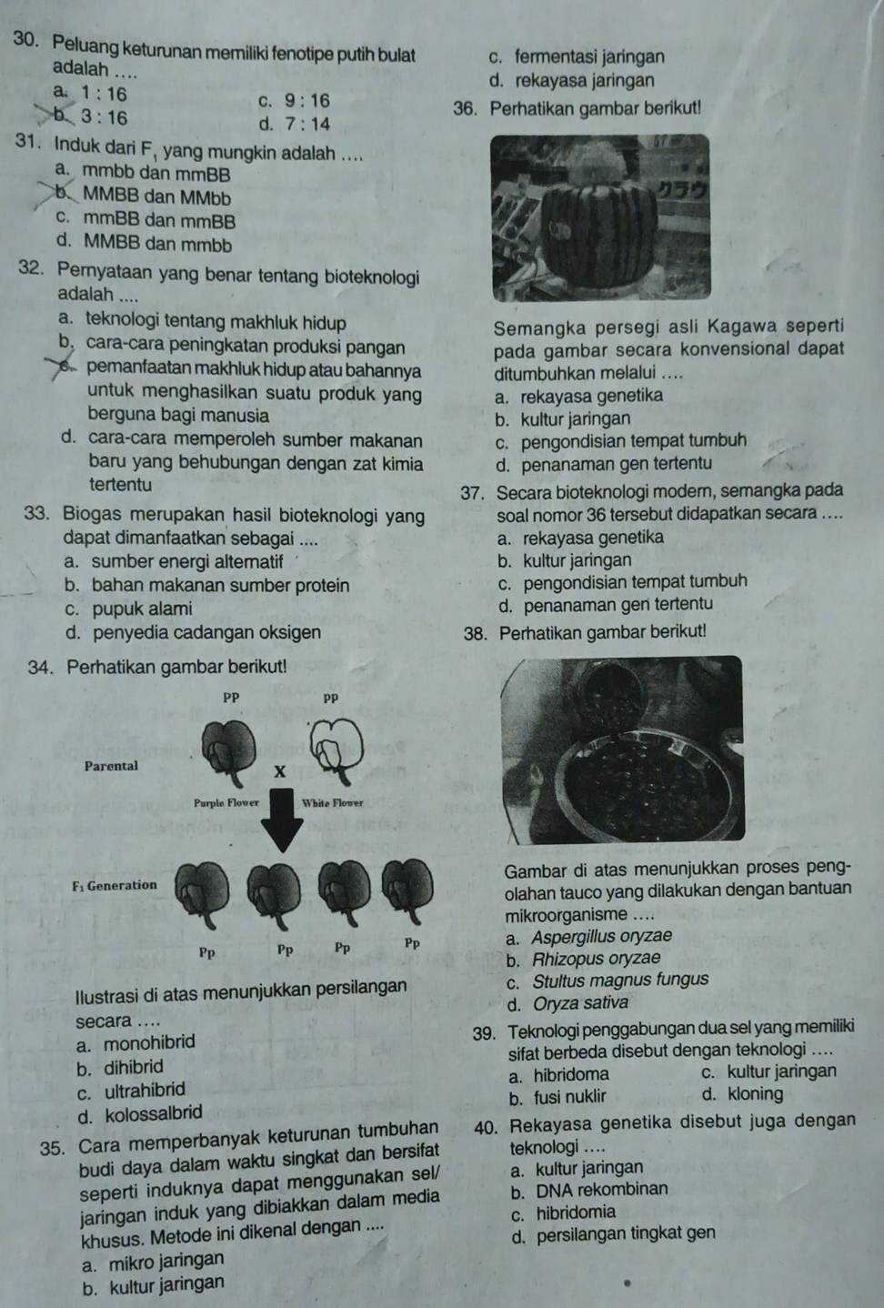 Peluang keturunan memiliki fenotipe putih bulat c. fermentasi jaringan
adalah ....
d. rekayasa jaringan
a. 1:16 C. 9:16
b 3:16
36. Perhatikan gambar berikut!
d. 7:14
31. Induk dari F_1 yang mungkin adalah ....
a. mmbb dan mmBB
b MMBB dan MMbb
c. mmBB dan mmBB
d. MMBB dan mmbb
32. Pernyataan yang benar tentang bioteknologi
adalah ....
a. teknologi tentang makhluk hidup
Semangka persegi asli Kagawa seperti
by cara-cara peningkatan produksi pangan pada gambar secara konvensional dapat
6 pemanfaatan makhluk hidup atau bahannya ditumbuhkan melalui ....
untuk menghasilkan suatu produk yang a. rekayasa genetika
berguna bagi manusia b. kultur jaringan
d. cara-cara memperoleh sumber makanan c. pengondisian tempat tumbuh
baru yang behubungan dengan zat kimia d. penanaman gen tertentu
tertentu
37. Secara bioteknologi modern, semangka pada
33. Biogas merupakan hasil bioteknologi yang soal nomor 36 tersebut didapatkan secara ....
dapat dimanfaatkan sebagai .... a. rekayasa genetika
a. sumber energi altematif b. kultur jaringan
b. bahan makanan sumber protein c. pengondisian tempat tumbuh
c. pupuk alami d. penanaman gen tertentu
d. penyedia cadangan oksigen 38. Perhatikan gambar berikut!
34. Perhatikan gambar berikut!
Gambar di atas menunjukkan proses peng-
olahan tauco yang dilakukan dengan bantuan
mikroorganisme ....
a. Aspergillus oryzae
b. Rhizopus oryzae
Ilustrasi di atas menunjukkan persilangan c. Stultus magnus fungus
d. Oryza sativa
secara ....
a. monohibrid 39. Teknologi penggabungan dua sel yang memiliki
b. dihibrid sifat berbeda disebut dengan teknologi ....
c. ultrahibrid a. hibridoma c. kultur jaringan
d. kolossalbrid b. fusi nuklir d. kloning
35. Cara memperbanyak keturunan tumbuhan 40. Rekayasa genetika disebut juga dengan
budi daya dalam waktu singkat dan bersifat teknologi ...
seperti induknya dapat menggunakan sel/ a. kultur jaringan
jaringan induk yang dibiakkan dalam media b. DNA rekombinan
c. hibridomia
khusus. Metode ini dikenal dengan ....
d. persilangan tingkat gen
a. mikro jaringan
b. kultur jaringan