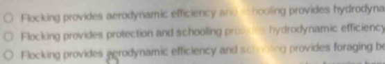 Flocking provides aerodynamic efficiency and schooling provides hydrodyna
Flocking provides protection and schooling provices hydrodynamic efficiency
Flocking provides agrodynamic efficiency and schooling provides foraging be