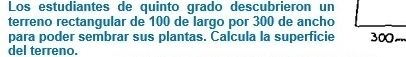 Los estudiantes de quinto grado descubrieron un 
terreno rectangular de 100 de largo por 300 de ancho 
para poder sembrar sus plantas. Calcula la superficie 300
del terreno.