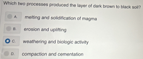 Which two processes produced the layer of dark brown to black soil?
A. melting and solidification of magma
B. erosion and uplifting
C. weathering and biologic activity
D. compaction and cementation