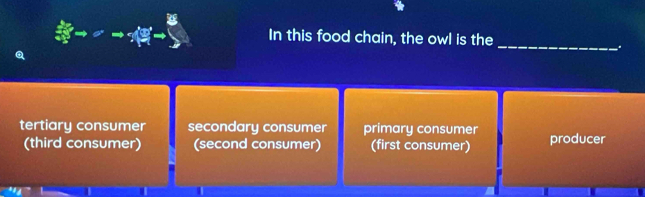 In this food chain, the owl is the
_
tertiary consumer secondary consumer primary consumer producer
(third consumer) (second consumer) (first consumer)