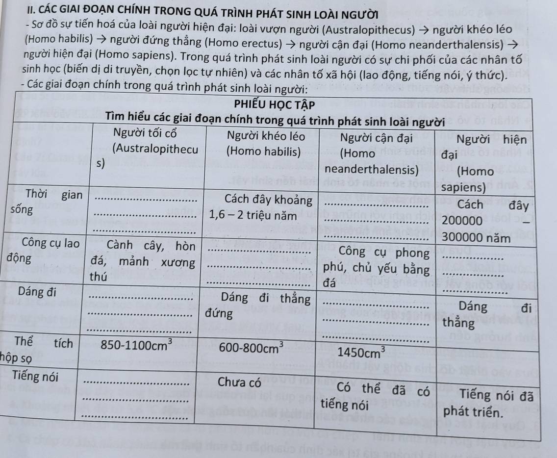 CáC GIAI ĐOẠN CHÍNH TRONG QUÁ TRìNH PHÁT SINH LOÀI NGƯờI
- Sơ đồ sự tiến hoá của loài người hiện đại: loài vượn người (Australopithecus) → người khéo léo
(Homo habilis) → người đứng thẳng (Homo erectus) → người cận đại (Homo neanderthalensis)
người hiện đại (Homo sapiens). Trong quá trình phát sinh loài người có sự chi phối của các nhân tố
sinh học (biến dị di truyền, chọn lọc tự nhiên) và các nhân tố xã hội (lao động, tiếng nói, ý thức).
số
độ
T
hộp 
T