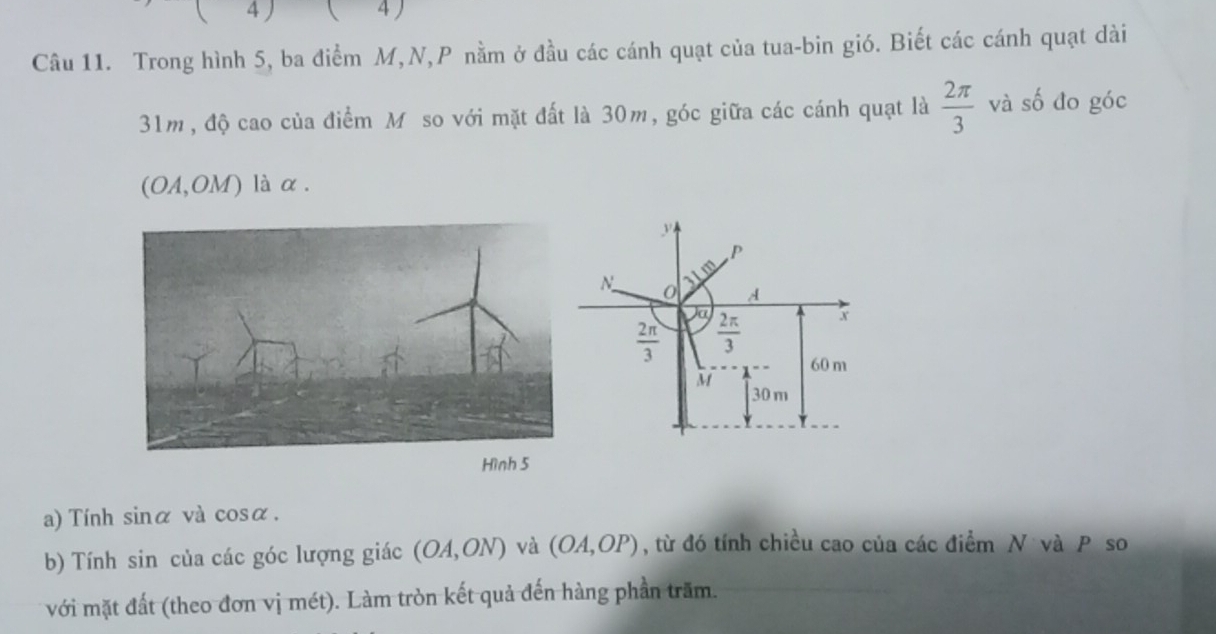 ( 4)
Câu 11. Trong hình 5, ba điểm M,N,P nằm ở đầu các cánh quạt của tua-bin gió. Biết các cánh quạt dài
31m, độ cao của điểm Mô so với mặt đất là 30m, góc giữa các cánh quạt là  2π /3  và số đo góc
(OA,OM) là α .
Hình 5
a) Tính sinα và cosα.
b) Tính sin của các góc lượng giác (OA,ON) và (OA,OP) , từ đó tính chiều cao của các điểm N và P so
với mặt đất (theo đơn vị mét). Làm tròn kết quả đến hàng phần trăm.