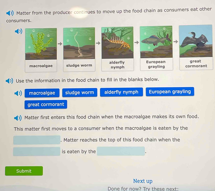 Matter from the producer continues to move up the food chain as consumers eat other
consumers.
alderfly European
macroalgae sludge worm nymph grayling cormorant great
Use the information in the food chain to fill in the blanks below.
macroalgae sludge worm alderfly nymph European grayling
great cormorant
Matter first enters this food chain when the macroalgae makes its own food.
This matter first moves to a consumer when the macroalgae is eaten by the
. Matter reaches the top of this food chain when the
is eaten by the
Submit
Next up
Done for now? Try these next: