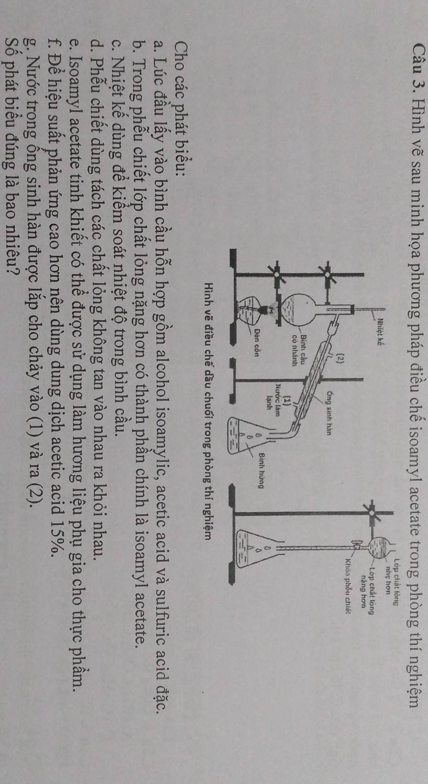 Hình vẽ sau minh họa phương pháp điều chế isoamyl acetate trong phòng thí nghiệm 
Hình vẽ điều chế dầu chuối trong phòng thí nghiệm 
Cho các phát biểu: 
a. Lúc đầu lấy vào bình cầu hỗn hợp gồm alcohol isoamylic, acetic acid và sulfuric acid đặc. 
b. Trong phễu chiết lớp chất lỏng nặng hơn có thành phần chính là isoamyl acetate. 
c. Nhiệt kế dùng để kiểm soát nhiệt độ trong bình cầu. 
d. Phễu chiết dùng tách các chất lỏng không tan vào nhau ra khỏi nhau. 
e. Isoamyl acetate tinh khiết có thể được sử dụng làm hương liệu phụ gia cho thực phẩm. 
f. Để hiệu suất phản ứng cao hơn nên dùng dung dịch acetic acid 15%. 
g. Nước trong ống sinh hàn được lắp cho chảy vào (1) và ra (2). 
Số phát biểu đúng là bao nhiêu?