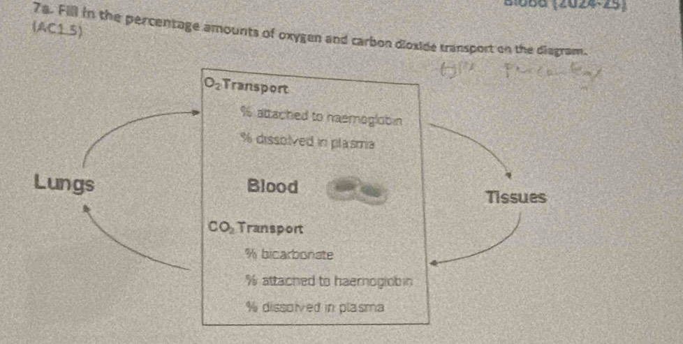 B1060 (2024-25) 
(AC1.5) 7a. Fill in the percentage amounts of oxygen and carbon dioxide transport on the diagram.
O_2 Transport
% attached to haemoglobin
% dissolved in plasma 
Lungs Blood 
Tissues
CO_2 Transport
% bicarbonate
% attached to haernogiob in
% dissoived in plasma