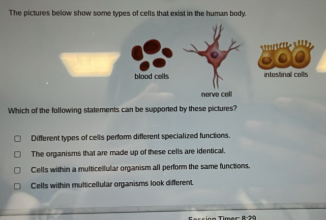Solved: The pictures below show some types of cells that exist in the ...