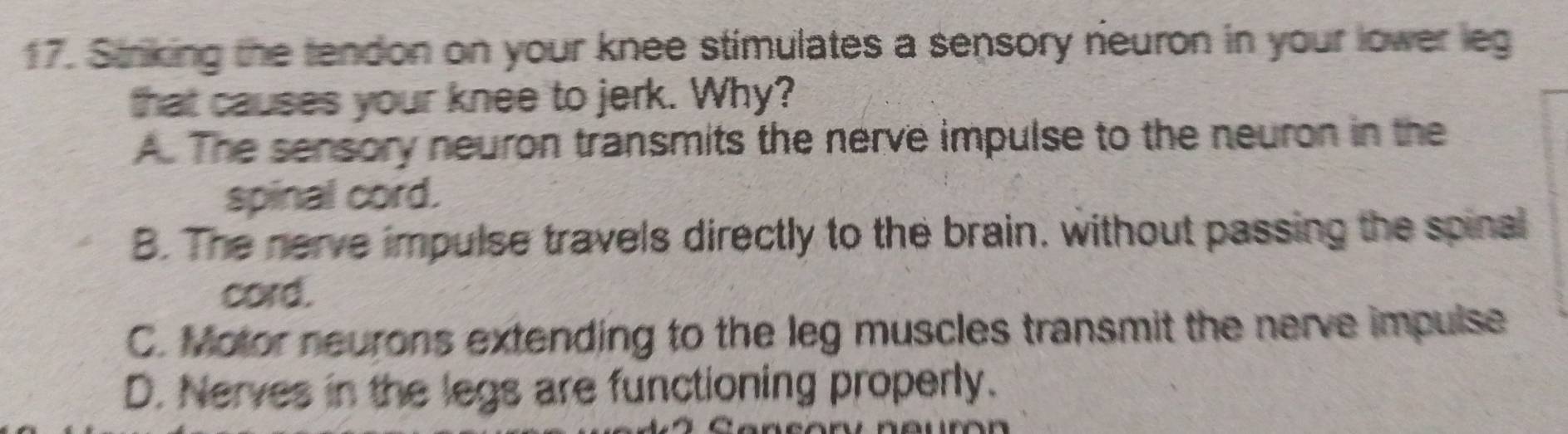 Striking the tendon on your knee stimulates a sensory rieuron in your lower leg
that causes your knee to jerk. Why?
A. The sensory neuron transmits the nerve impulse to the neuron in the
spinal cord.
B. The nerve impulse travels directly to the brain. without passing the spinal
cord.
C. Motor neurons extending to the leg muscles transmit the nerve impulse
D. Nerves in the legs are functioning properly.