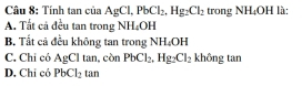 Tính tan của A AgCl, PbCl_2, Hg_2Cl_2 trong NH₄OH là:
A. Tất cá đều tan trong NH_4OH
B. Tất cả đều không tan trong NH_4OH
C. Chi có AgCl tan, còn PbCl_2, Hg_2Cl_2 không tan
D. Chỉ có PbCl_2tan