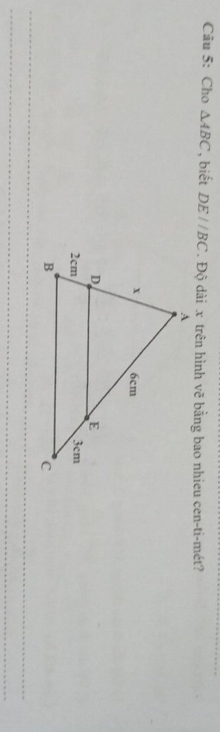 Cho △ ABC , biết DE//BC. Độ dài x trên hình vẽ bằng bao nhieu cen-ti-mét?