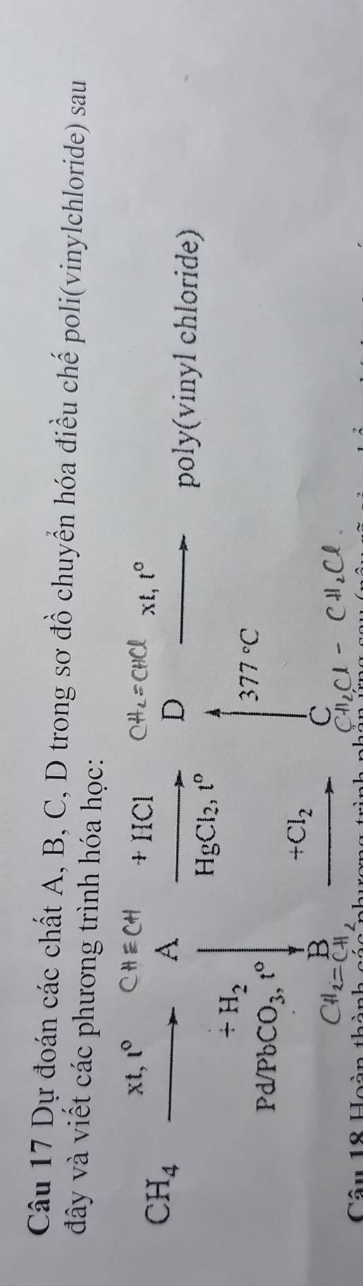 Dự đoán các chất A, B, C, D trong sơ đồ chuyển hóa điều chế poli(vinylchloride) sau 
đây và viết các phương trình hóa học:
xt,t°
A frac +HClHgCl_2,r° D 
poly(vinyl chloride)
377°C
+Cl_2
frac 8
B
C 
2=0 
Câu 18 Hoà