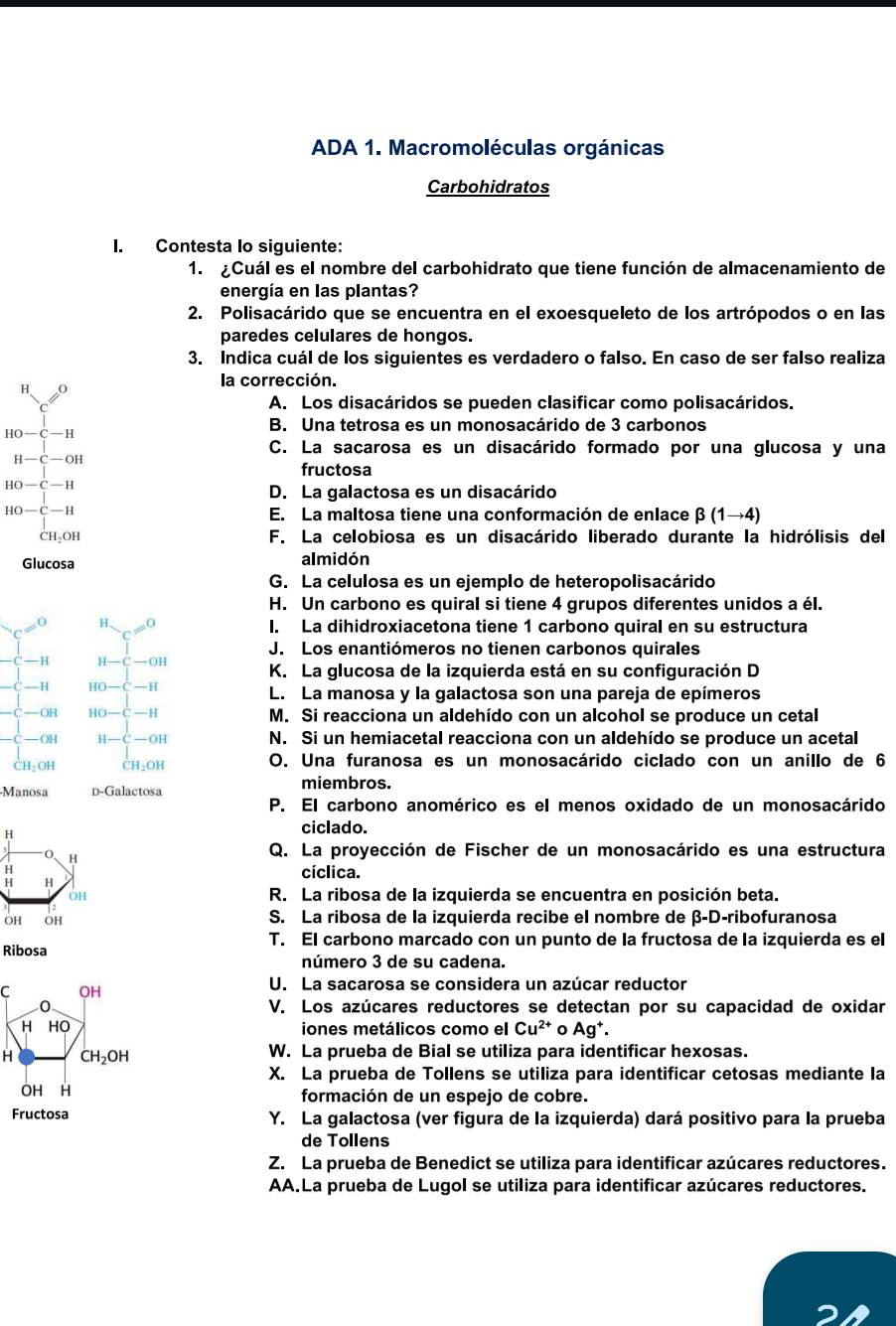 ADA 1. Macromoléculas orgánicas
Carbohidratos
I. Contesta Io siguiente:
1. ¿Cuál es el nombre del carbohidrato que tiene función de almacenamiento de
energía en las plantas?
2. Polisacárido que se encuentra en el exoesqueleto de los artrópodos o en las
paredes celulares de hongos.
3. Indica cuál de los siguientes es verdadero o falso. En caso de ser falso realiza
H 0
la corrección.
A. Los disacáridos se pueden clasificar como polisacáridos.
HO—C—H B. Una tetrosa es un monosacárido de 3 carbonos
C. La sacarosa es un disacárido formado por una glucosa y una
H —C—OH
fructosa
HO-C — H D. La galactosa es un disacárido
HO — C — H E. La maltosa tiene una conformación de enlace beta (1to 4)
CH-OH F. La celobiosa es un disacárido liberado durante la hidrólisis del
Glucosa almidón
G. La celulosa es un ejemplo de heteropolisacárido
H. Un carbono es quiral si tiene 4 grupos diferentes unidos a él.
H 0
I. La dihidroxiacetona tiene 1 carbono quiral en su estructura
J. Los enantiómeros no tienen carbonos quirales
C —H H-C-OH K. La glucosa de la izquierda está en su configuración D
-H HC L. La manosa y la galactosa son una pareja de epímeros
-OI HO-C-I M. Si reacciona un aldehído con un alcohol se produce un cetal
-OH H-C-OH N. Si un hemiacetal reacciona con un aldehído se produce un acetal
C I_2OH Cl 1_2O1 O. Una furanosa es un monosacárido ciclado con un anillo de 6
-Manosa D-Galactosa miembros.
P. El carbono anomérico es el menos oxidado de un monosacárido
ciclado.
Q. La proyección de Fischer de un monosacárido es una estructura
cíclica.
R. La ribosa de la izquierda se encuentra en posición beta.
S. La ribosa de la izquierda recibe el nombre de β-D-ribofuranosa
T. El carbono marcado con un punto de la fructosa de la izquierda es el
Ribosa número 3 de su cadena.
U. La sacarosa se considera un azúcar reductor
V. Los azúcares reductores se detectan por su capacidad de oxidar
iones metálicos como el Cu^(2+) 0 Ag^+.
W. La prueba de Bial se utiliza para identificar hexosas.
X. La prueba de Tollens se utiliza para identificar cetosas mediante la
formación de un espejo de cobre.
Fructosa Y. La galactosa (ver figura de la izquierda) dará positivo para la prueba
de Tollens
Z. La prueba de Benedict se utiliza para identificar azúcares reductores.
AA.La prueba de Lugol se utiliza para identificar azúcares reductores.