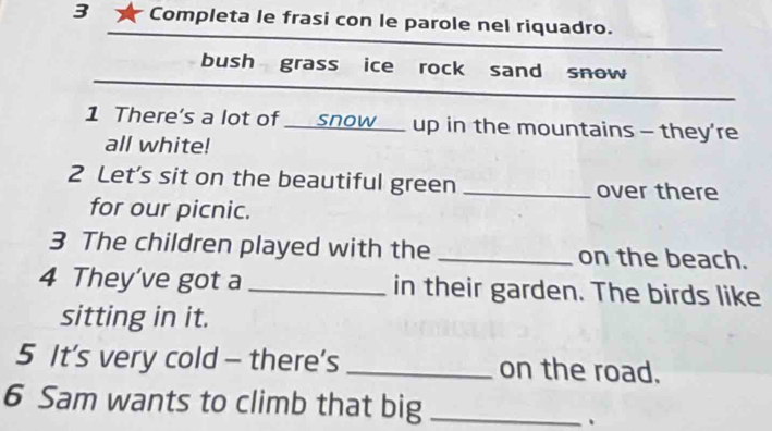 Completa le frasi con le parole nel riquadro. 
_ 
_ 
bush grass ice rock sand snow 
_ 
1 There's a lot of _ snow up in the mountains - they're 
all white! 
2 Let’s sit on the beautiful green _over there 
for our picnic. 
3 The children played with the _on the beach. 
4 They've got a _in their garden. The birds like 
sitting in it. 
5 It's very cold - there's _on the road. 
6 Sam wants to climb that big_ 
、