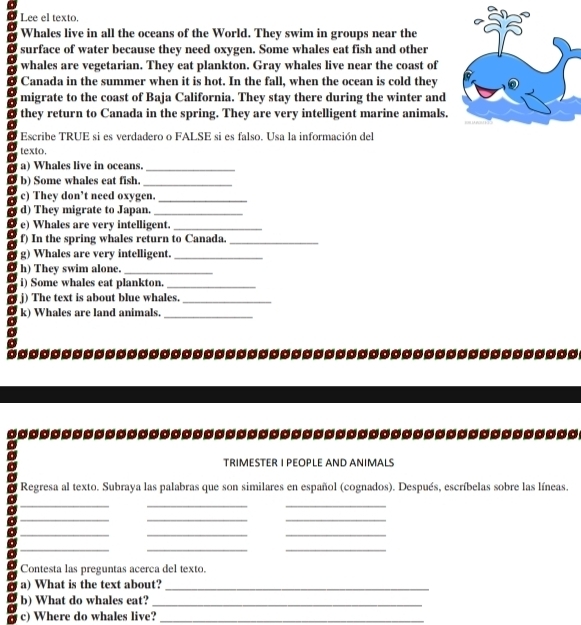 Lee el texto. 
Whales live in all the oceans of the World. They swim in groups near the 
surface of water because they need oxygen. Some whales eat fish and other 
whales are vegetarian. They eat plankton. Gray whales live near the coast of 
Canada in the summer when it is hot. In the fall, when the ocean is cold they 
migrate to the coast of Baja California. They stay there during the winter and 
they return to Canada in the spring. They are very intelligent marine animals. 
Escribe TRUE si es verdadero o FALSE si es falso. Usa la información del 
texto. 
a) Whales live in oceans._ 
b) Some whales eat fish._ 
c) They don’t need oxygen._ 
d) They migrate to Japan._ 
e) Whales are very intelligent._ 
f) In the spring whales return to Canada._ 
g) Whales are very intelligent._ 
h) They swim alone._ 
i) Some whales eat plankton._ 
j) The text is about blue whales._ 
k) Whales are land animals._ 
-------------------------------------------------- 
TRIMESTER I PEOPLE AND ANIMALS 
Regresa al texto. Subraya las palabras que son similares en español (cognados). Después, escríbelas sobre las líneas. 
_ 
__ 
_ 
__ 
_ 
__ 
_ 
__ 
Contesta las preguntas acerca del texto. 
a) What is the text about?_ 
b) What do whales eat?_ 
c) Where do whales live?_