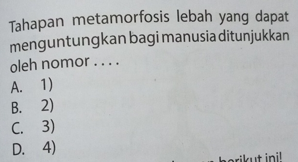 Tahapan metamorfosis lebah yang dapat
menguntungkan bagi manusia ditunjukkan
oleh nomor . . . .
A. 1)
B. 2)
C. 3)
D. 4)
rikut ini!