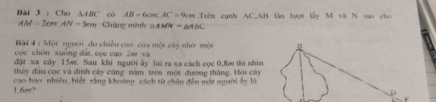 Cho △ ABC có AB=6cm; AC=9cm.Trên cạnh AC, AB lần lượt lấy M và N sao cho
AM=2cm : AN=3cm Chứng minh △ AMNsim △ HNBC
Bài 4 : Một người _đo chiều cao của một cây nhờ một 
cọc chón xuống đất, cọc cao 2m và 
đặt xa cây 15m. Sau khí người ấy lùi ra xa cách cọc 0, 8m thì nhìn 
thảy đầu cọc và đình cây cùng năm trên một đường thăng. Hội cây 
cao bao nhiêu, biết rằng khoảng cách từ chân đến mắt người ấy là
1.6m?