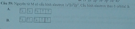 2s2p3s°3p3d°4s^3 
Câu 59: Nguyên tử M có cầu hình electron 1s^22s^22p^4 Cầu hình electron theo ô orbital là
A.
↑ ↑
B. ` ↑ ↑