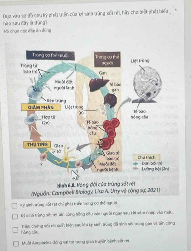 Dựa vào sơ đồ chu kỳ phát triển của kỷ sinh trùng sốt rét, hãy cho biết phát biểu
nào sau đây là đúng?
HS chọn các đáp án đúng
Kỷ sinh trùng sốt rét chỉ phát triển trong cơ thể người.
Kỷ sinh trùng sốt rét tấn công hồng cầu của người ngay sau khi xảm nhập vào máu.
Triệu chúng sốt rét xuất hiện sau khi kỷ sinh trùng đã sinh sôi trong gan và tấn công
hồng cầu.
Muôi Anopheles đóng vai trò trung gian truyền bệnh sốt rét.