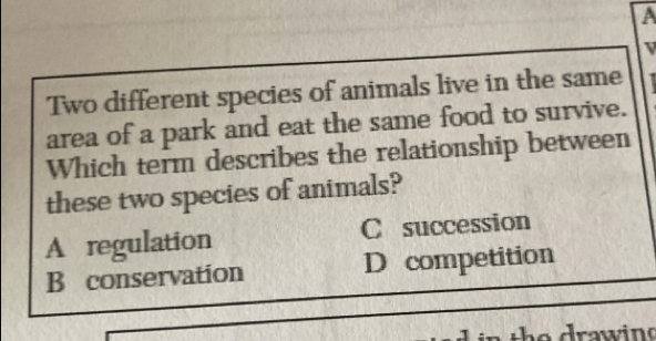 A
V
Two different species of animals live in the same
area of a park and eat the same food to survive.
Which term describes the relationship between
these two species of animals?
A regulation C succession
B conservation D competition