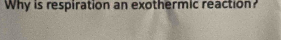 Why is respiration an exothermic reaction?